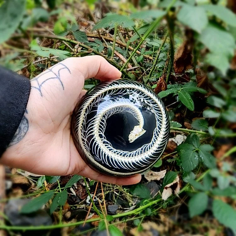 Real Snake Skeleton in Resin, Snake Skeleton paperweight, Oddities Decor