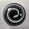 Real Snake Skeleton in Resin, Snake Skeleton paperweight, Oddities Decor