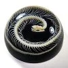 Real Snake Skeleton in Resin, Snake Skeleton paperweight, Oddities Decor