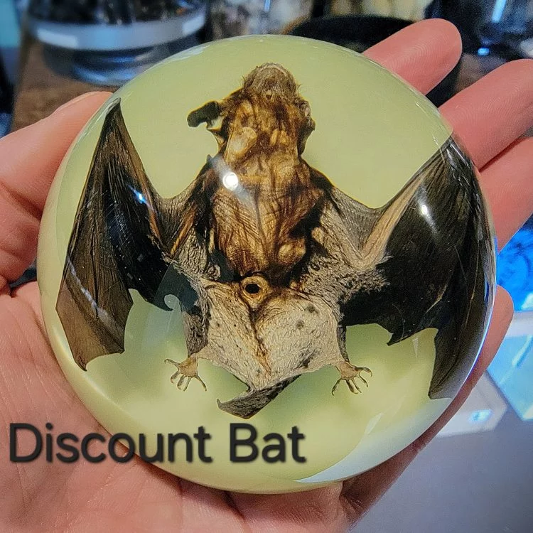 Real Preserved bat, Glow Bat Dome, Glow Bat Paperweight