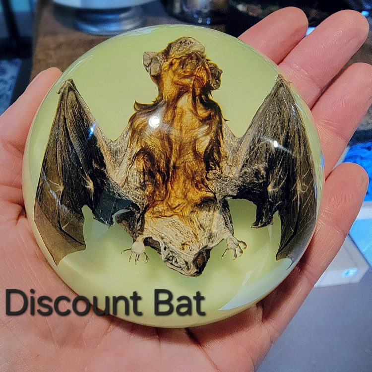 Real Preserved bat, Glow Bat Dome, Glow Bat Paperweight