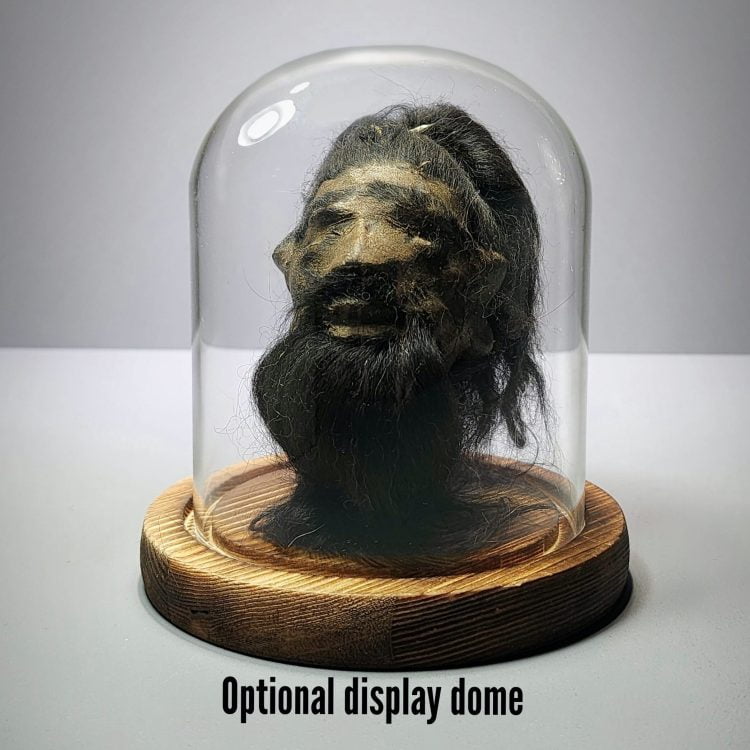 Display dome for shrunken head, Oddities Display Dome, Curio Display Dome, Real Shrunken head