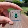 Blue Beetle, Turquoise Beetle, Turquoise Weevil, Beetle in Resin