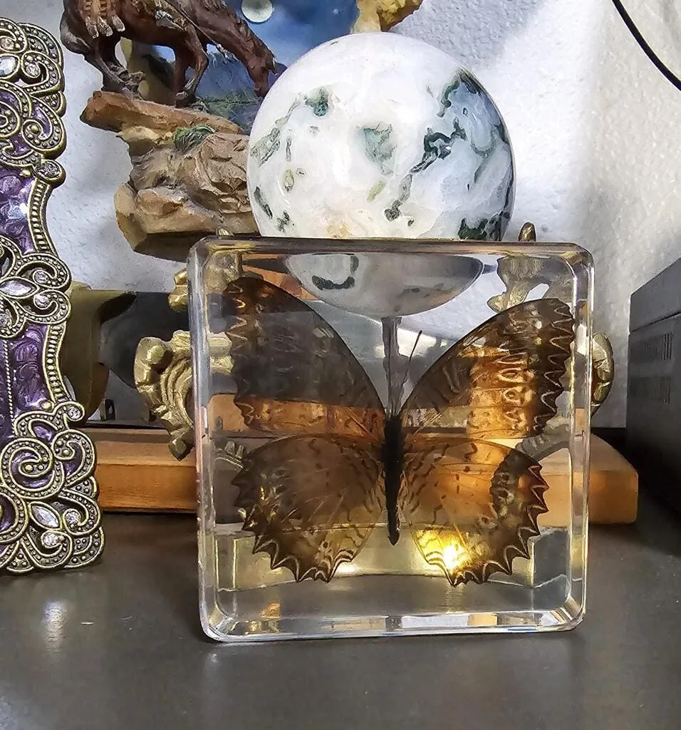 Image #1 from Alyssa M