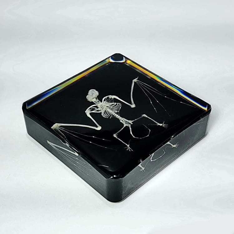 Ethically Sourced Bat Skeleton, Real bat Skeleton In Resin, Animal Skeleton