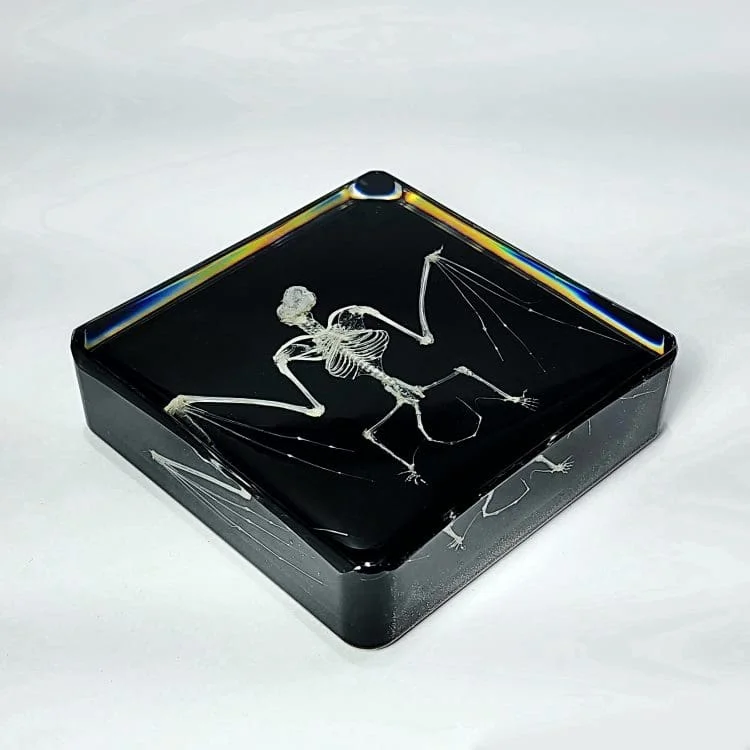 Ethically Sourced Bat Skeleton, Real bat Skeleton In Resin, Animal Skeleton