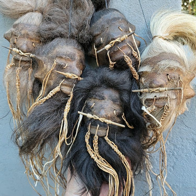 Wholesale Shrunken heads, Real Shrunken Heads, Wholesale Oddities