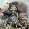 Wholesale Shrunken heads, Real Shrunken Heads, Wholesale Oddities