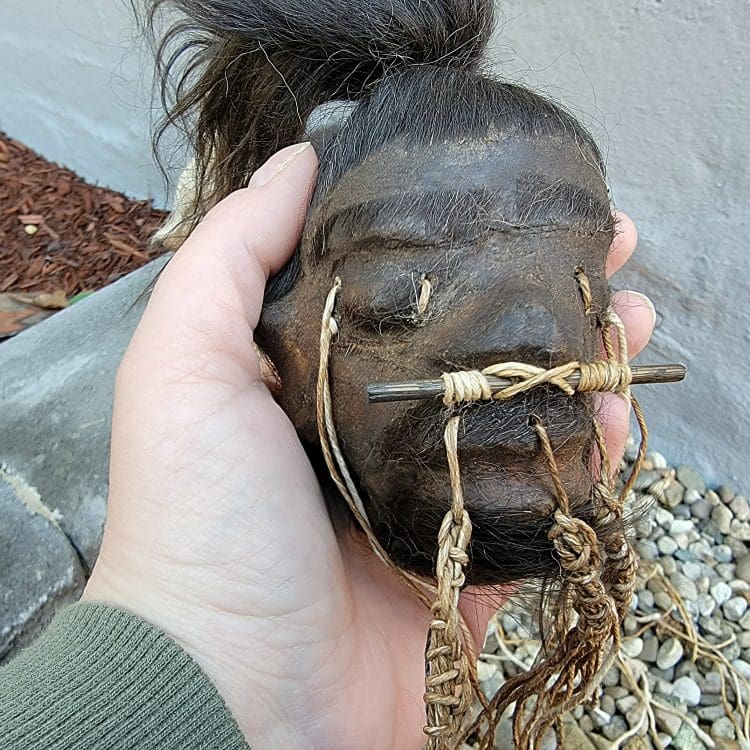 Wholesale Shrunken heads, Real Shrunken Heads, Wholesale Oddities