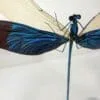Damselfly in Resin, Insects in Resin, Dragonflies