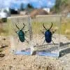 Real Jeweled Sawtooth Stag Beetle in Resin, Wholesale Insects In Resin