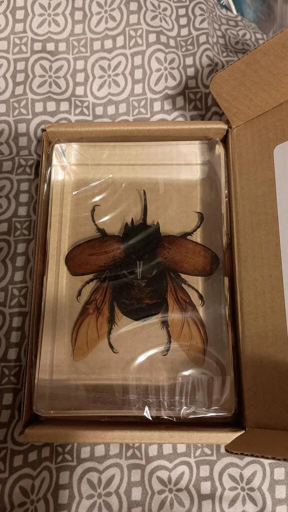 Image #2 from Michelle B