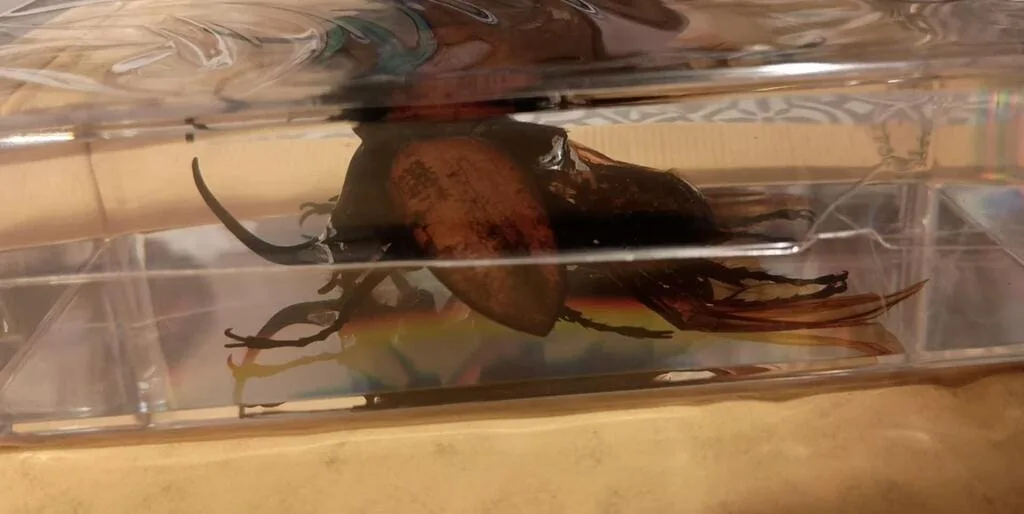 Image #1 from Michelle B