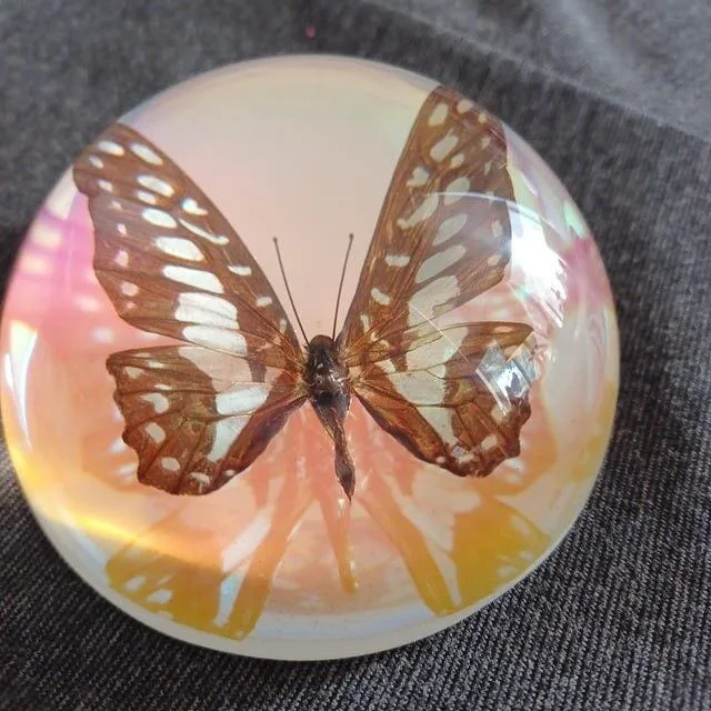 Image #1 from Darcy A