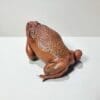 Taxidermy Toad, Stuffed Frog, Wholesale Taxidermy, Oddities, Curiosities