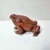Taxidermy Toad, Stuffed Frog, Wholesale Taxidermy, Oddities, Curiosities