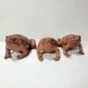 Taxidermy Toad, Stuffed Frog, Wholesale Taxidermy, Oddities, Curiosities