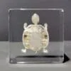 Real Turtle Skeleton in Resin, Wholesale Specimen in Resin, Bones, Skulls, Oddities