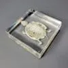 Real Turtle Skeleton in Resin, Wholesale Specimen in Resin, Bones, Skulls