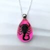 Black Scorpion Pink Necklace, Real Insect jewelry