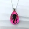 Black Scorpion Pink Necklace, Real Insect jewelry