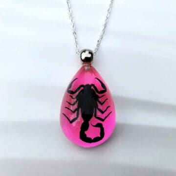 Black Scorpion Pink Necklace, Real Insect jewelry
