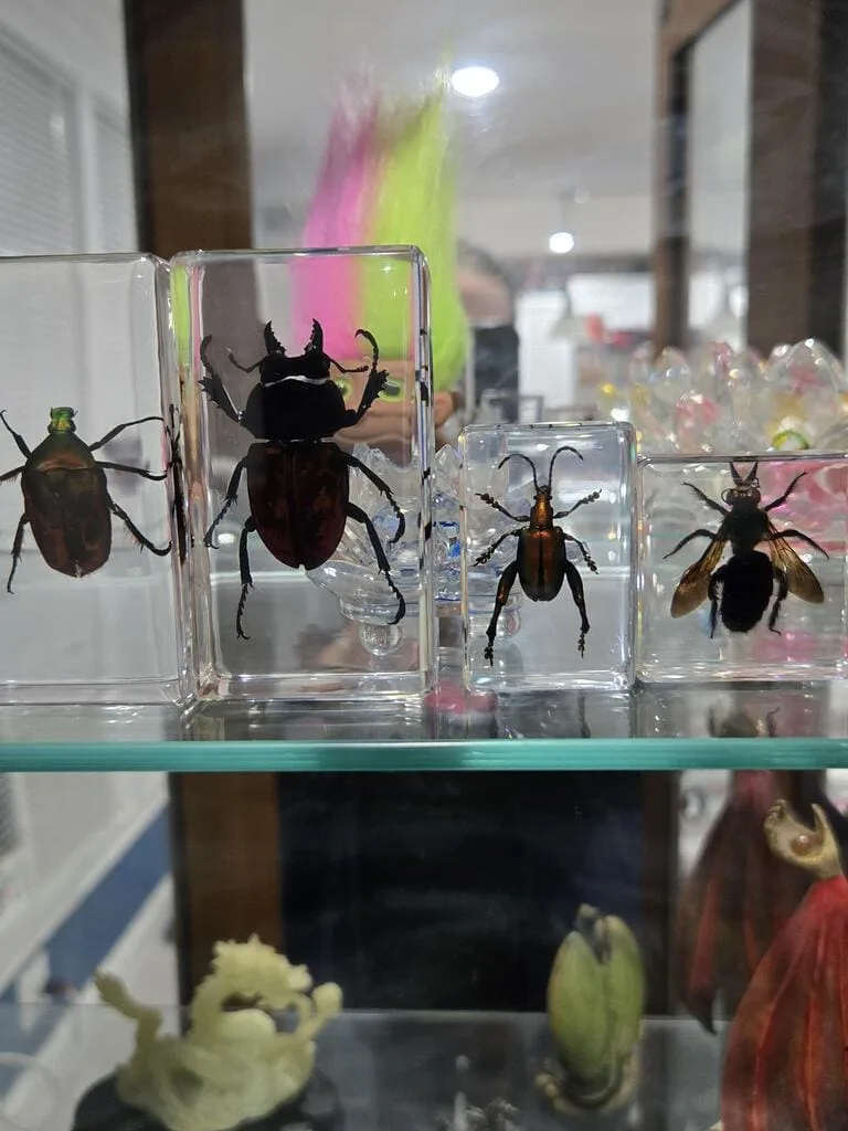 Image #1 from Crystal O