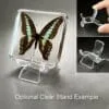 Clear Acrylic Butterfly in Resin Display Stand