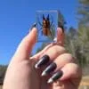 Orange Stag Beetle in Resin, Small Beetles, Real Bugs
