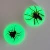 Glow in the Dark Spider Magnet Set, Real Spiders, Insects in Resin
