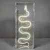 Snake Skeleton in Resin, Animal Bones, Reptile Bones, Snakes
