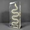 Snake Skeleton in Resin, Animal Bones, Reptile Bones, Snakes