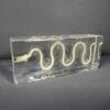 Snake Skeleton in Resin, Animal Bones, Reptile Bones, Snakes