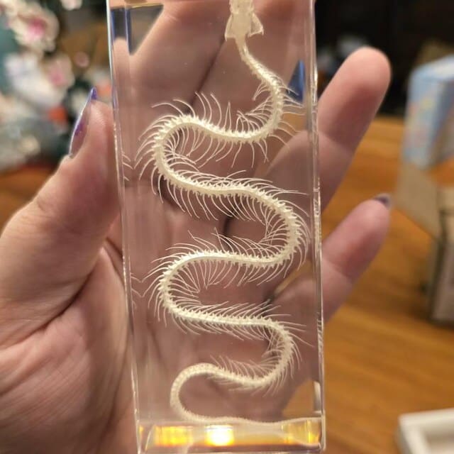 Image #1 from SophiaÂ