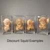 Discount and Deals Oddities and Curiosities