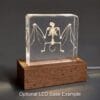 Real Bat Skeleton, Insect In Resin, Curiosities