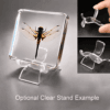 Real Preserved Dragonfly, Insects in Resin, Curiosities