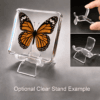 Real Tiger Butterfly, Curiosities, Insects in Resin