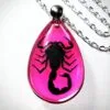 Real Preserved Scorpion Necklace, Black Scorpion, Pink Necklace