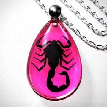 Real Preserved Scorpion Necklace, Black Scorpion, Pink Necklace